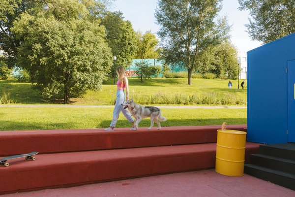 Essential tips for maintaining your senior pug's fitness and curbing obesity